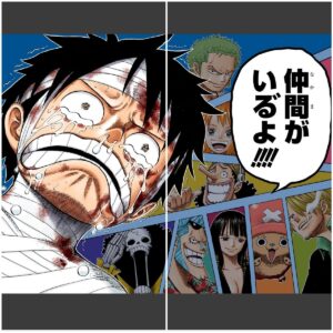 麦わらの一味11人目候補を徹底考察！最新情報