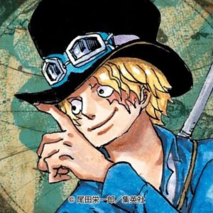 サボは本当に死亡？最新生存情報！